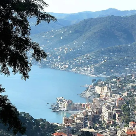 House Bibo Apartment Camogli
